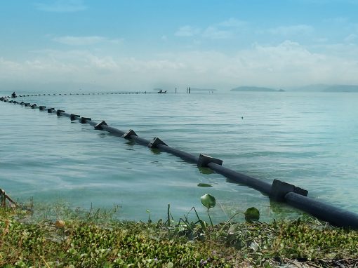 Water intake system in the Lake of Valencia and storage in artificial lagoon for the Avicola Macundo. Guacara, Carabobo State. Venezuela.