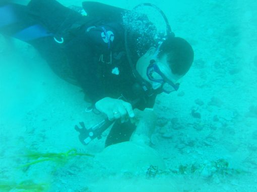 Apoyo marítimo para el trabajo de instalación del  cable internacional de fibra óptica (ATLÁNTICO  I).  Situado en Punta Gorda – Estado Vargas.  Venezuela. Año 2016.