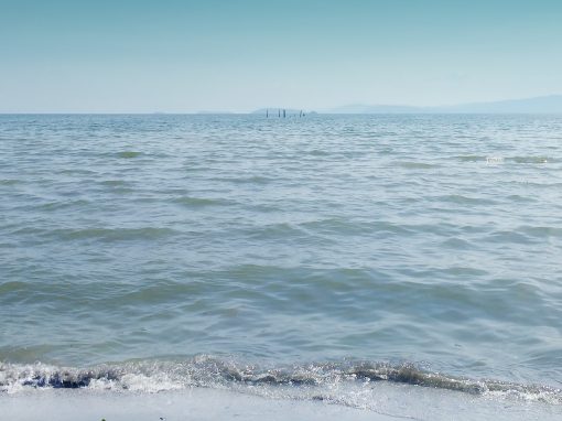 Building and installation of sublacustrine intake in the lake of Valencia for the Avicola Macundo C.A., Guacara. Carabobo State. Venezuela.